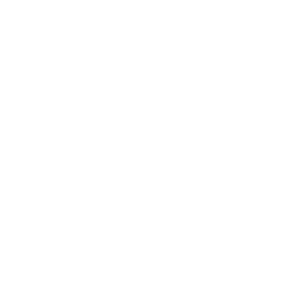 Suplemento Mineral