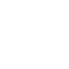 Núcleo